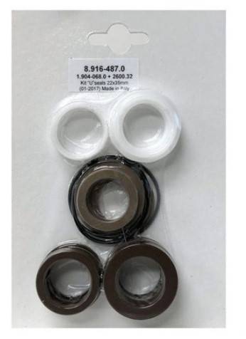 89164870 22mm Plunger Seal Kit