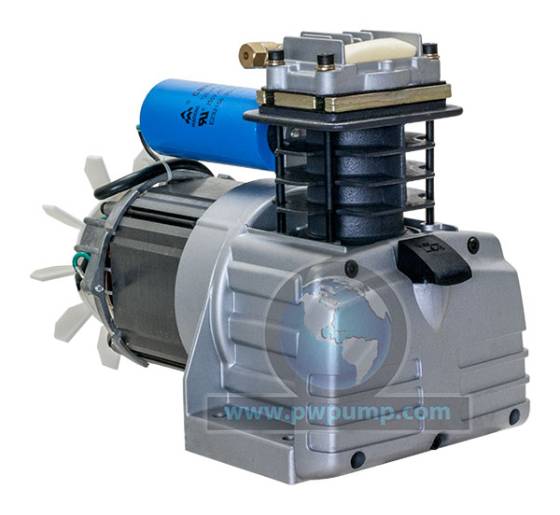 A/C Pump & Motor