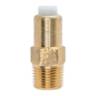Thermal Relief Valve - 1/4"
